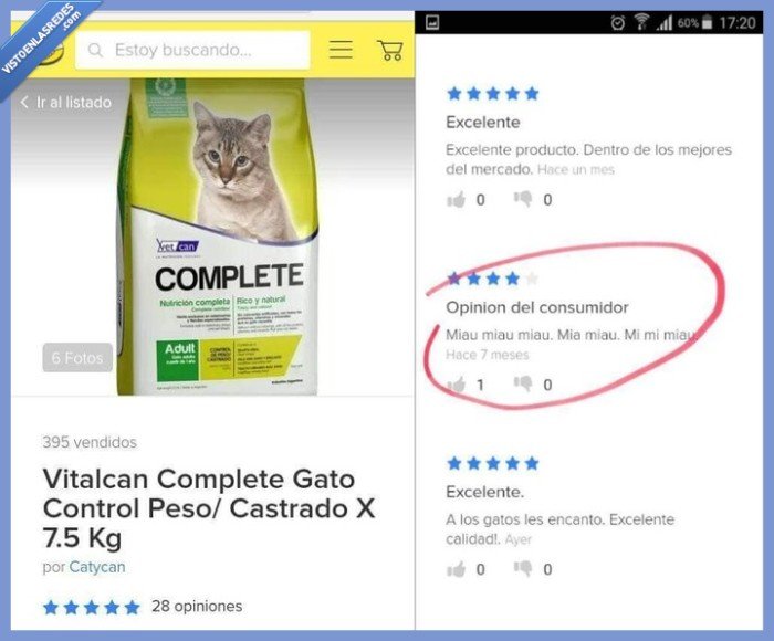 gato,opinion,miau