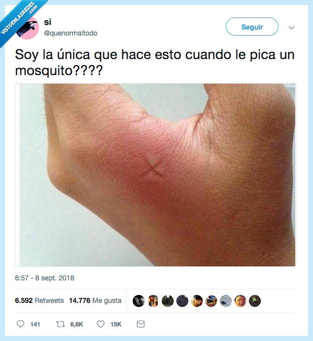 solo,estar,mosquito,picar