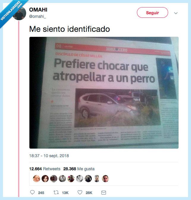 perro,amigo,chocar,yo