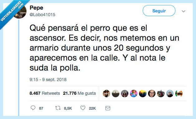 perro,ascensor,sorpresa