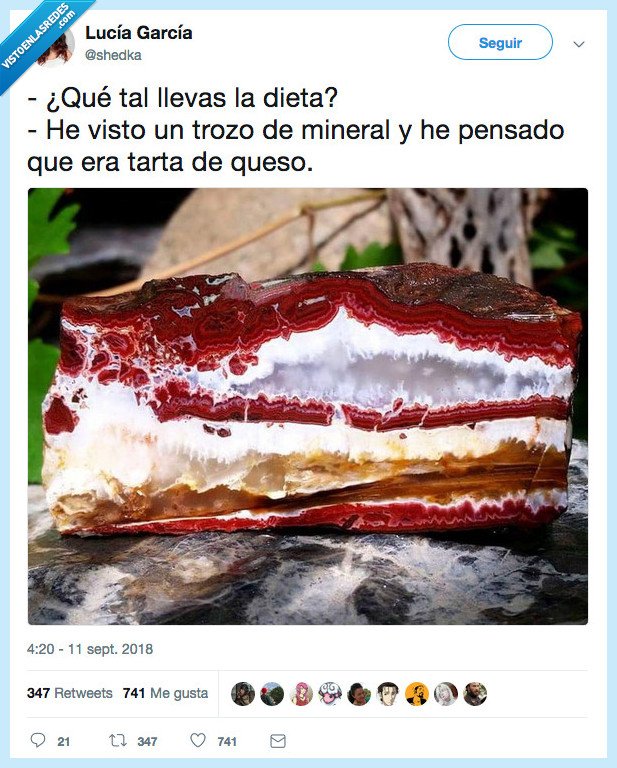 panceta,dieta,hambre