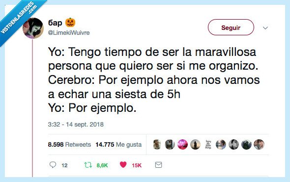 siesta,organización,gustar,a mí no me gusta tanto como a ti pulo