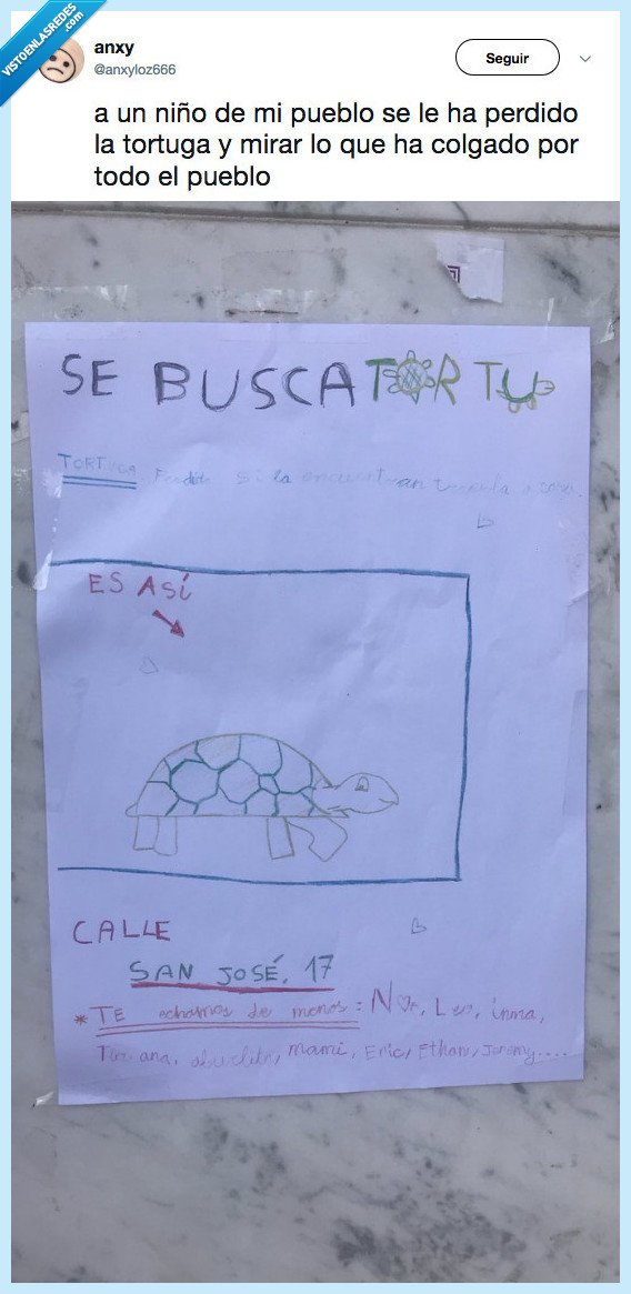 internet,entero,tortuga