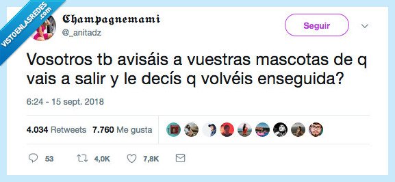 siempre,avisar,mascota