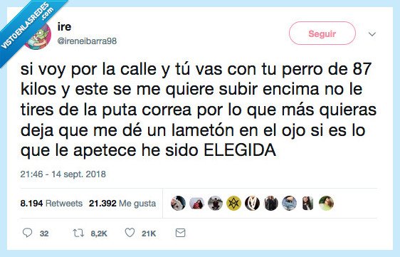 perri,blessear,besos perrunes