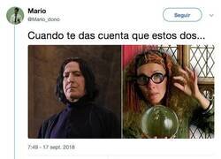 Enlace a Harry Potter y el culebrón venezolano, por @Mario_dono