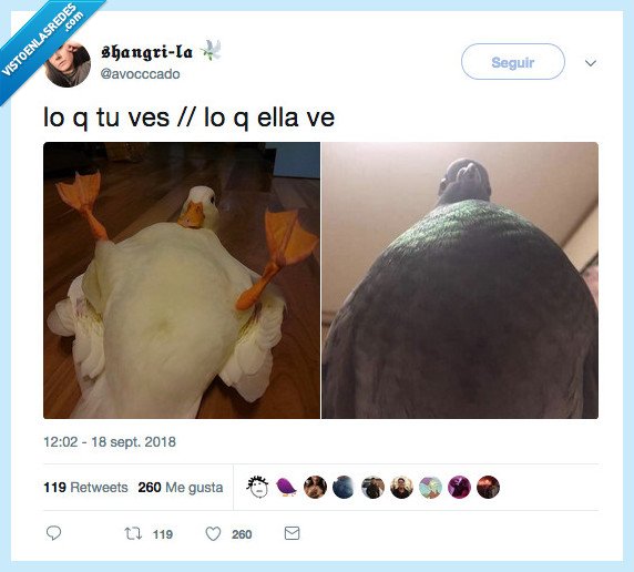 perspectivas,ver,ella y el