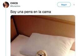 Enlace a Así es como realmente soy, por @Sunschics
