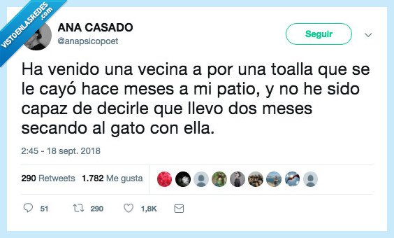 vecina,toalla,secar,gato