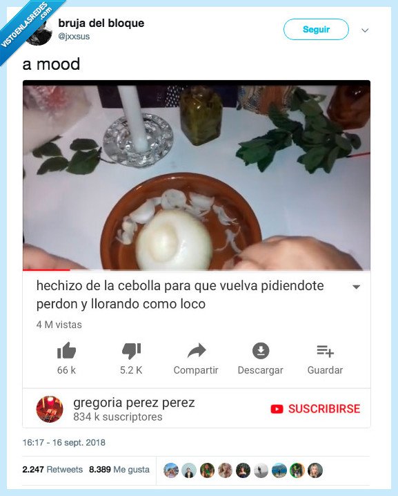 cebolla,mood,motivo