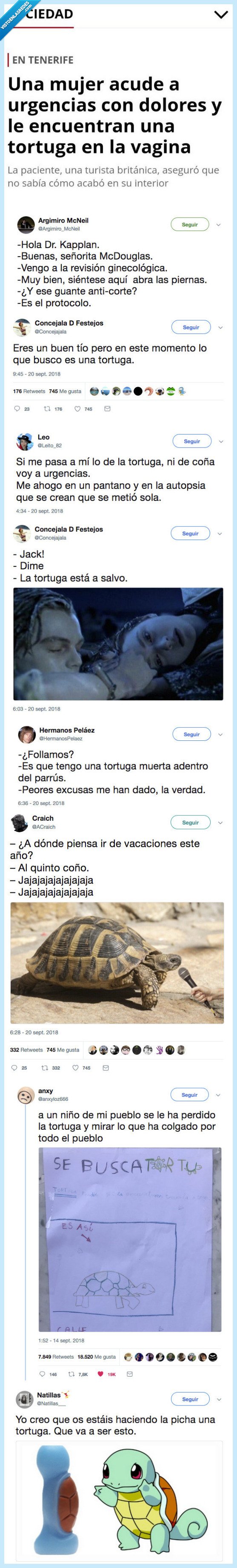 chistes,mujer,tortuga toto