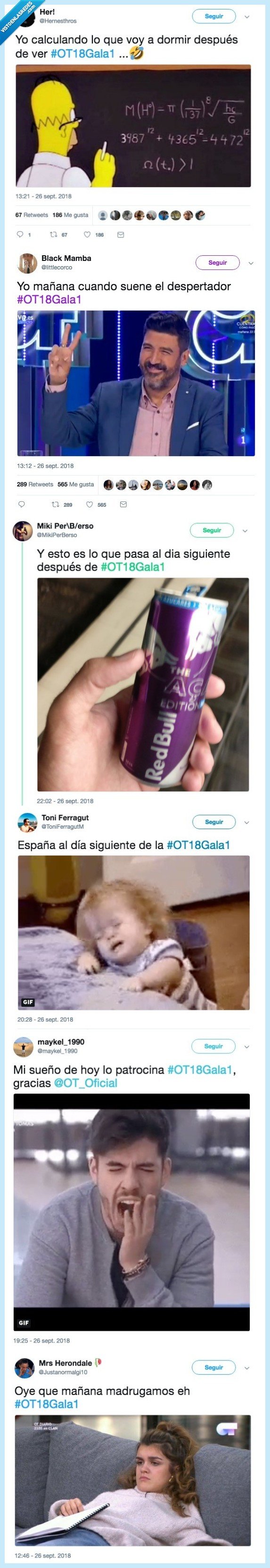 497567 - Os traemos los memes más fresquitos que hay en internet de la gala de ot 