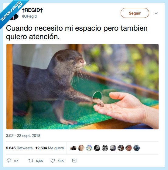llamar a atencion,nutria