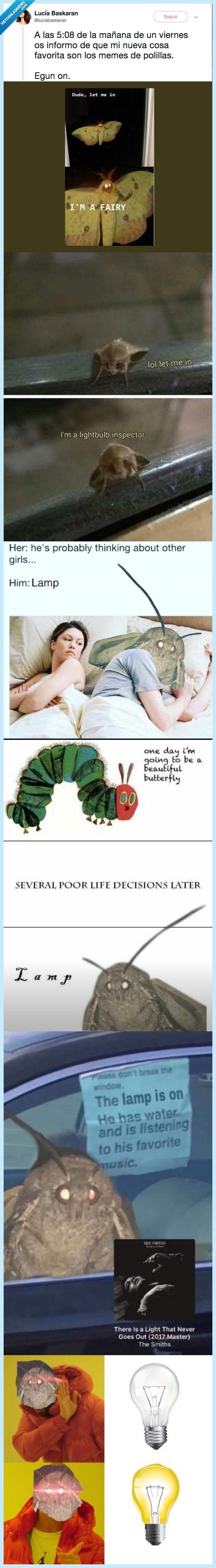 meme. polilla,recopilacion