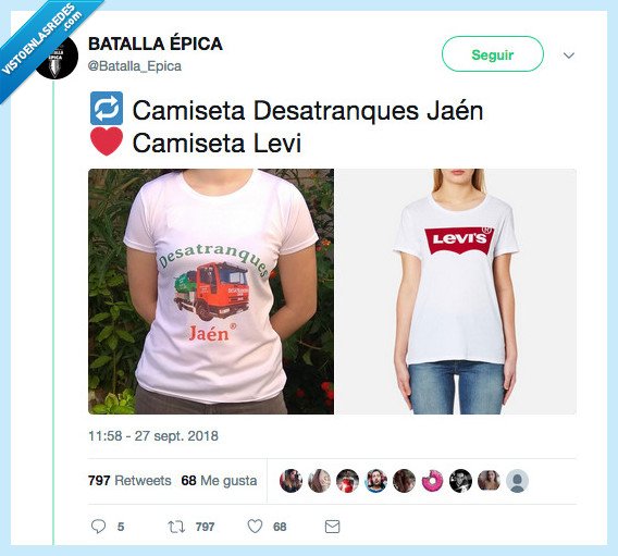 desatranques jaen,levis