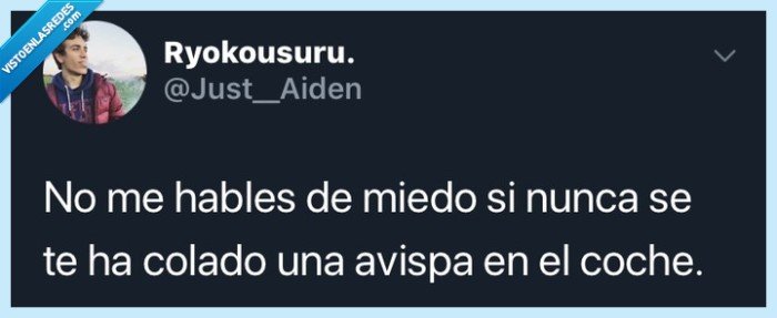 Miedo,avispa,coche,twitter,tuit