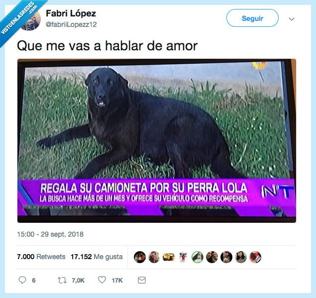 vender,alma,hacer,falta,perro