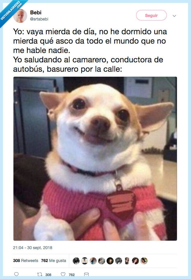 perro,borde,pero no con el mundo