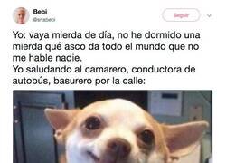 Enlace a Also me, por @srtabebi