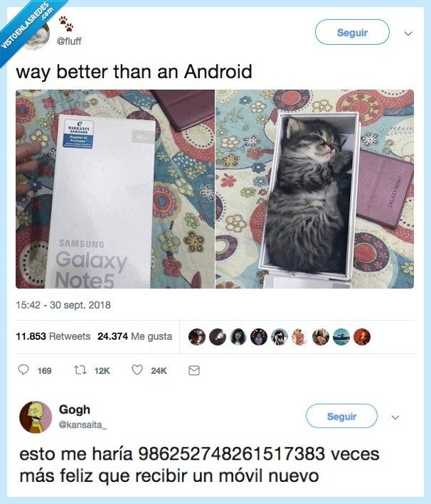 quiero un gato,gato,lo quiero por favor,para mi cumple,UN GATOOOOOOOO