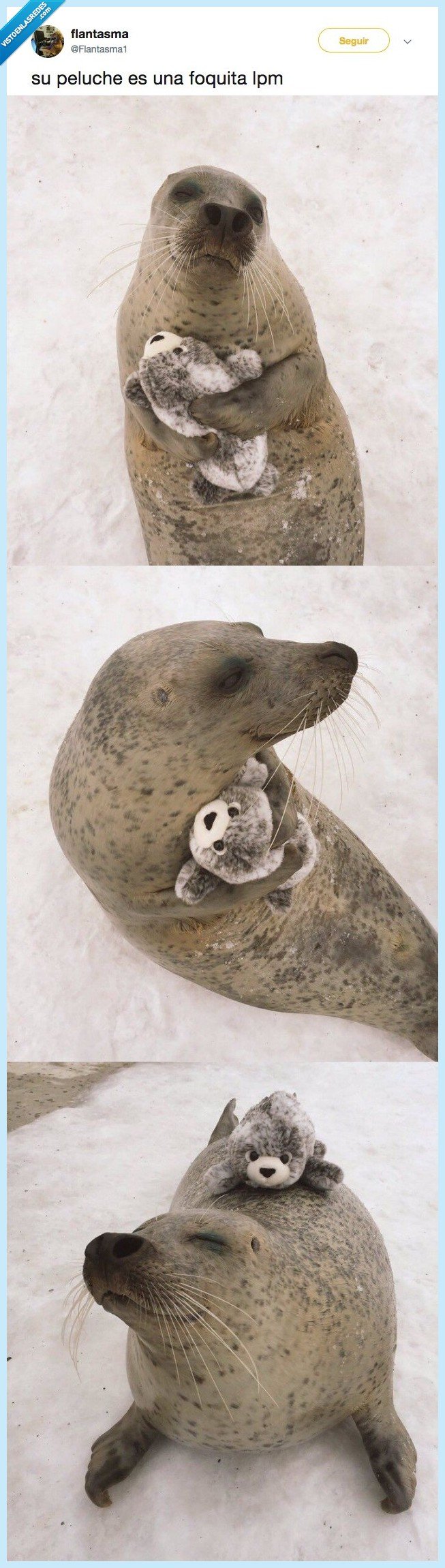 498176 - El único propósito de esta foca con su peluche bebé foca es alegrarte el día, por @Flantasma1