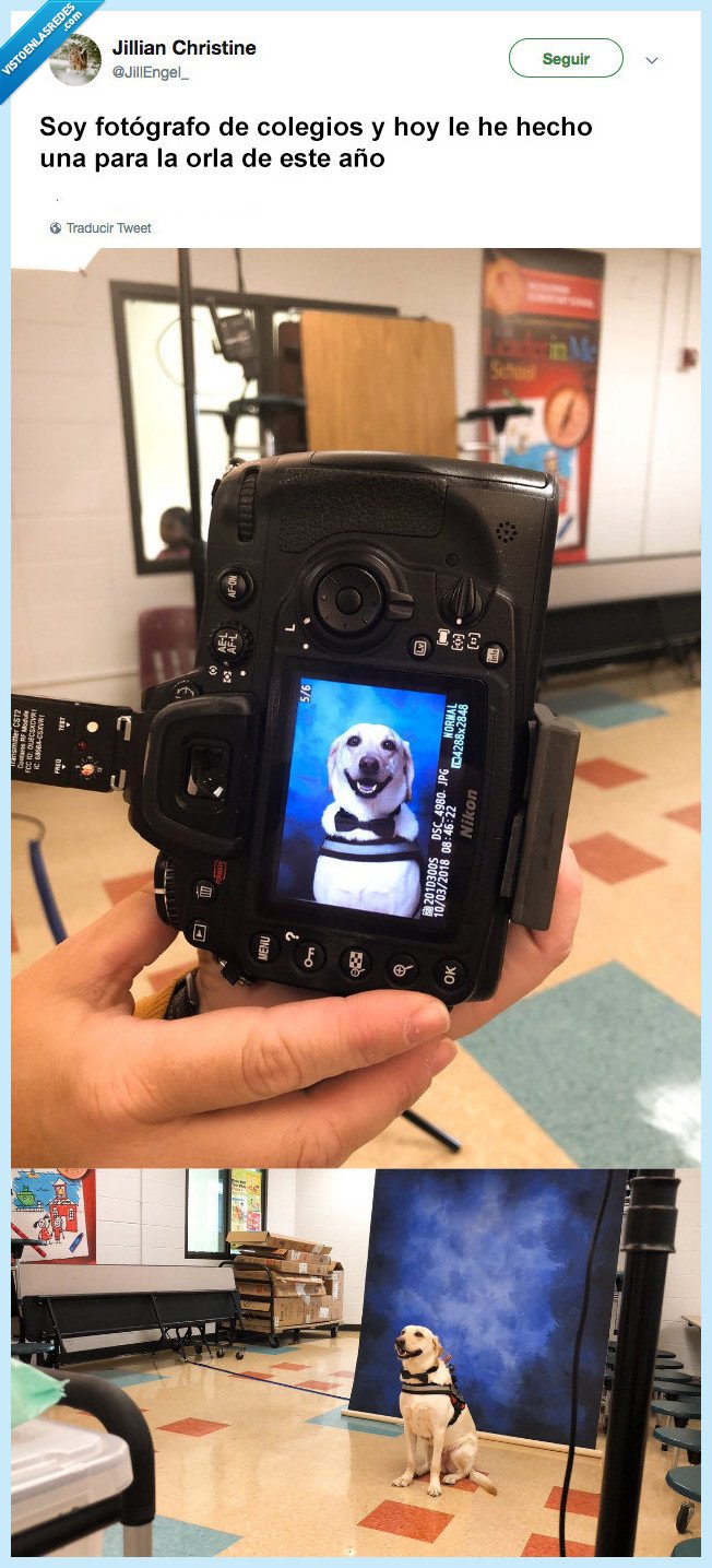 orla,perro,dejar,otro