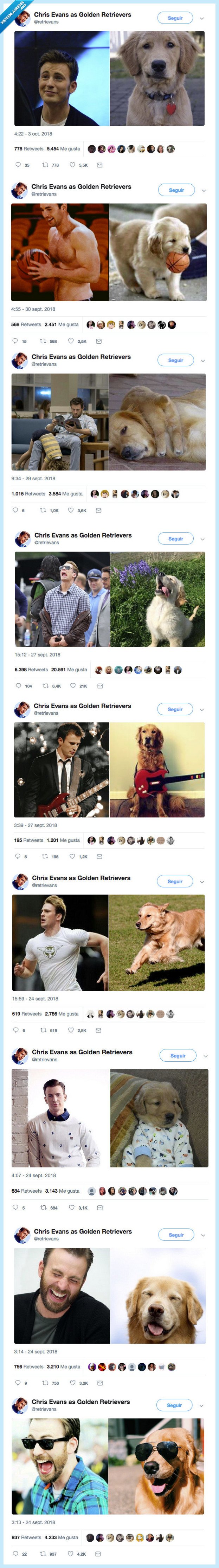 cuenta,mejor,universo,maravilla