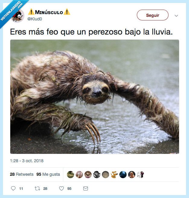 feo,oso,perezoso