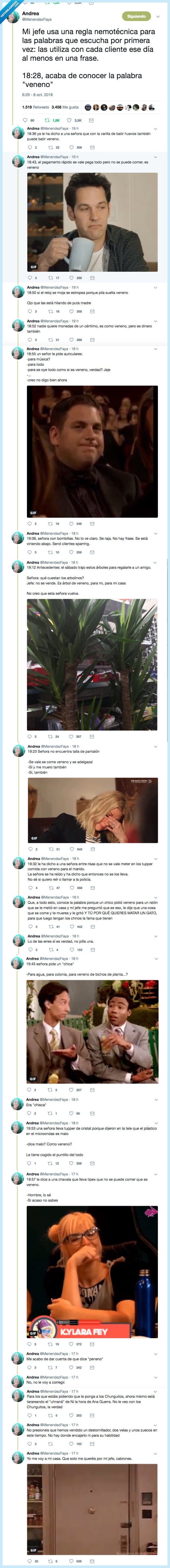 chino,plantillas,palabra