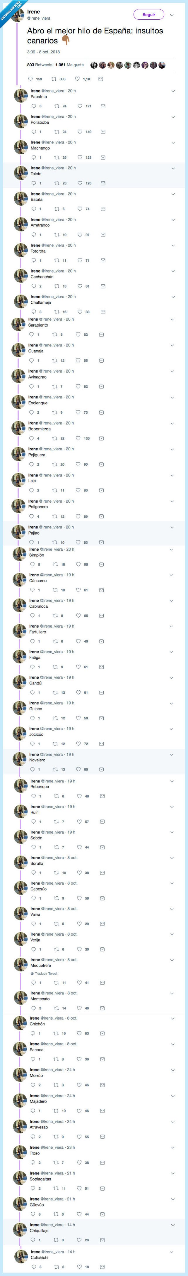 entender,nada,insultos canarios