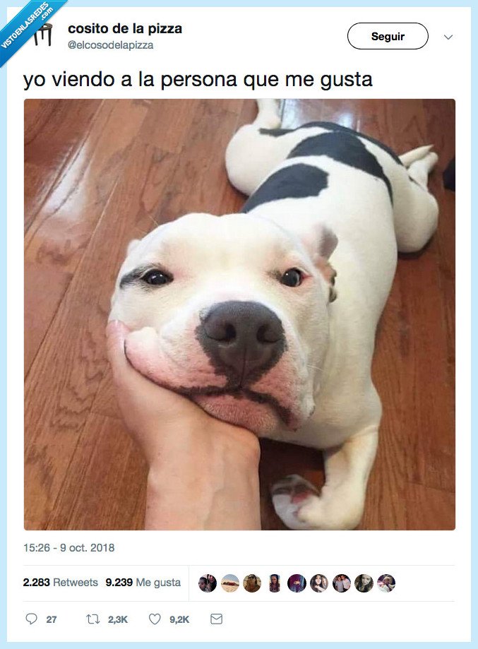 cara,persona,gustar,aix,pulo yo te miro así eh