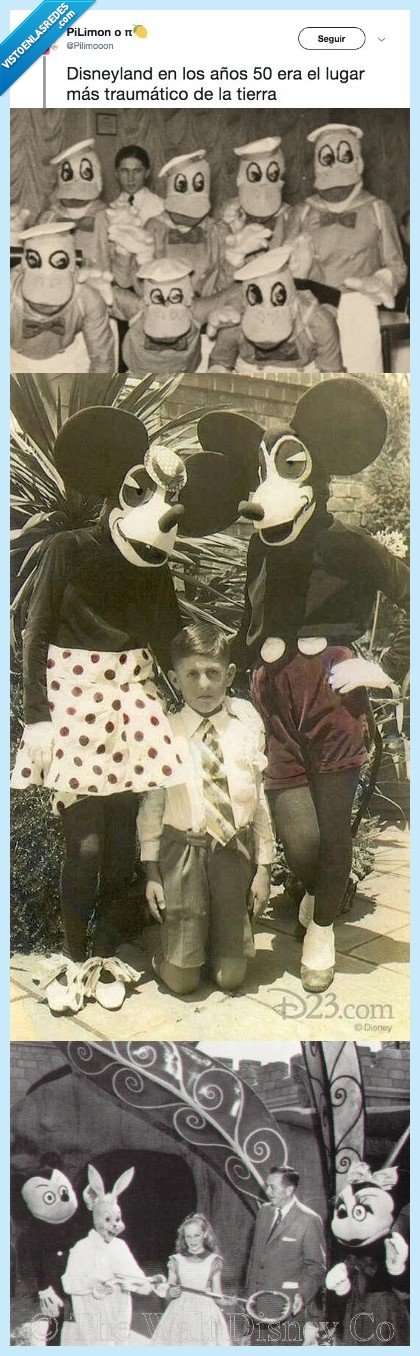 luz,fotos,disneyland