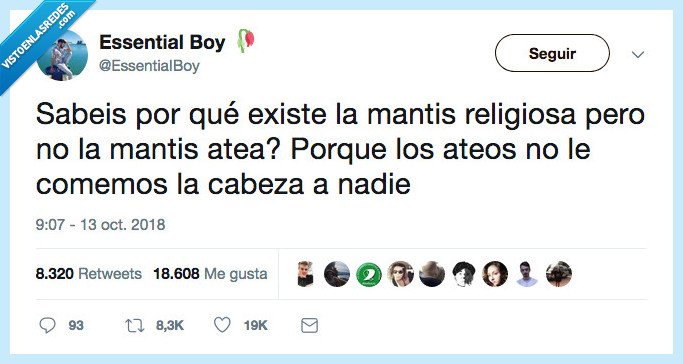 booom,mantis,religiosa