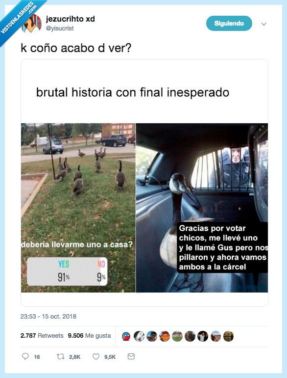 yisucrist,pato,final inesperado