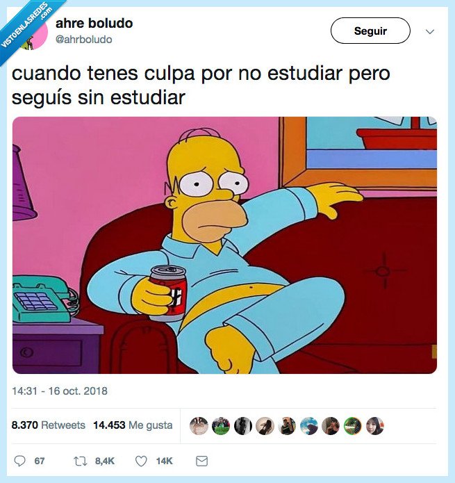 culpa,tener,homer,estudiar