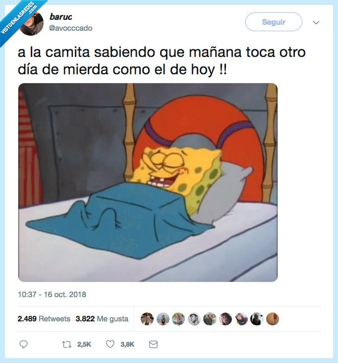 sueño,dormir,dia de caaaaaca mieeeeerda