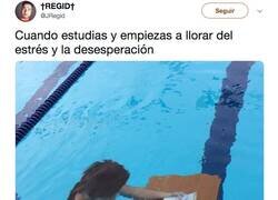 Enlace a Me ahogo en mis lágrimas entre estrés y páginas, por @JRegid