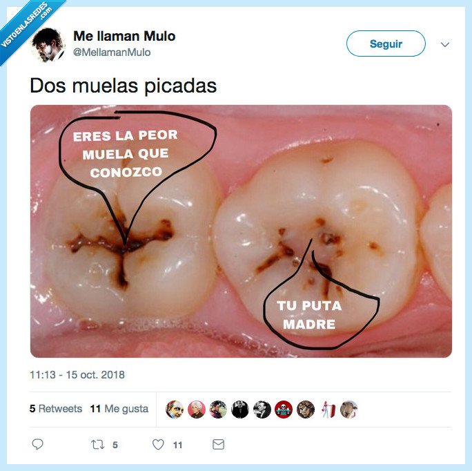 muela,picada,lo siento
