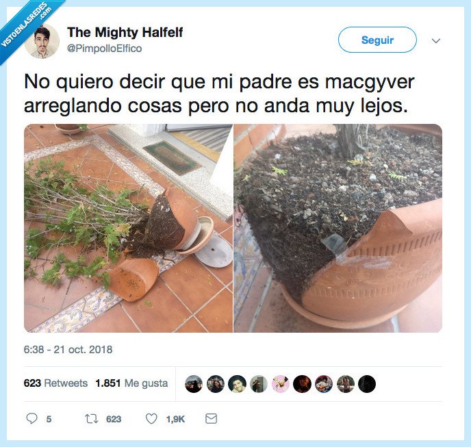 maceta,arreglar,celo