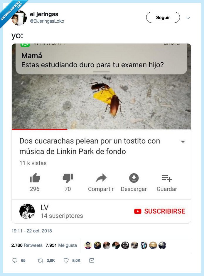 cundir,mucho,estudio