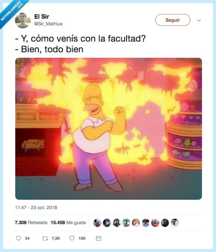 descripción gráfica,facultad,verlo todo arder