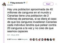 Enlace a Los canarios lo tienen chungo si tienene que aguantar la rebelión de los canguros, por @rafwiko