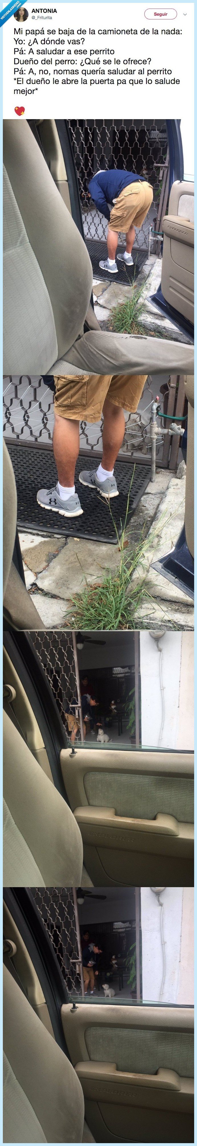 padre,querer,perros,más que a ti jÁ