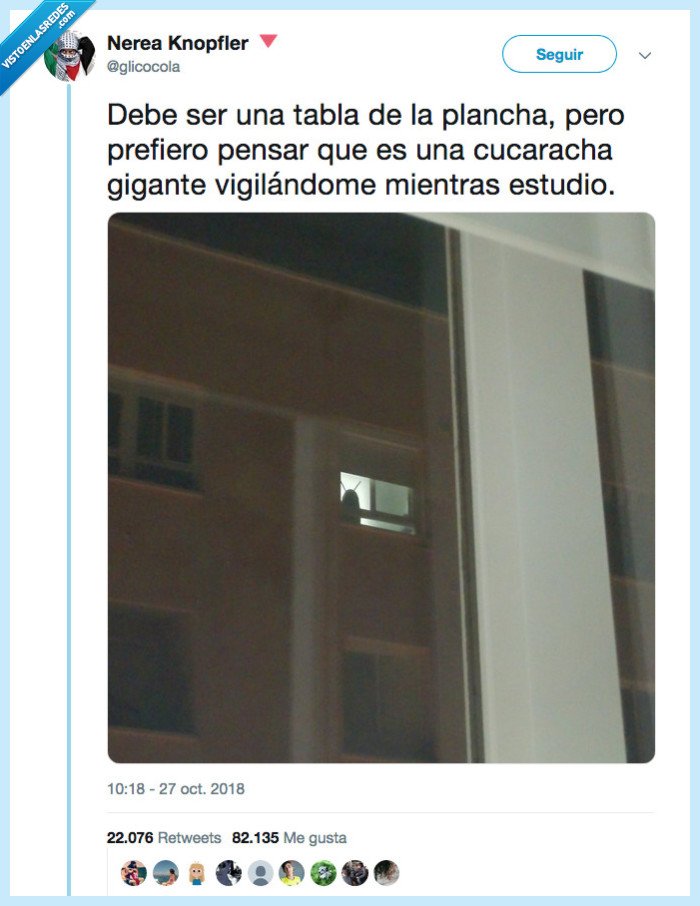 cucaracha,estudiar,planchaKHEEEE