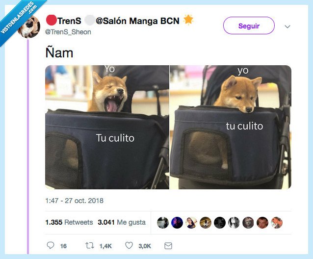 tupulo,perro,je