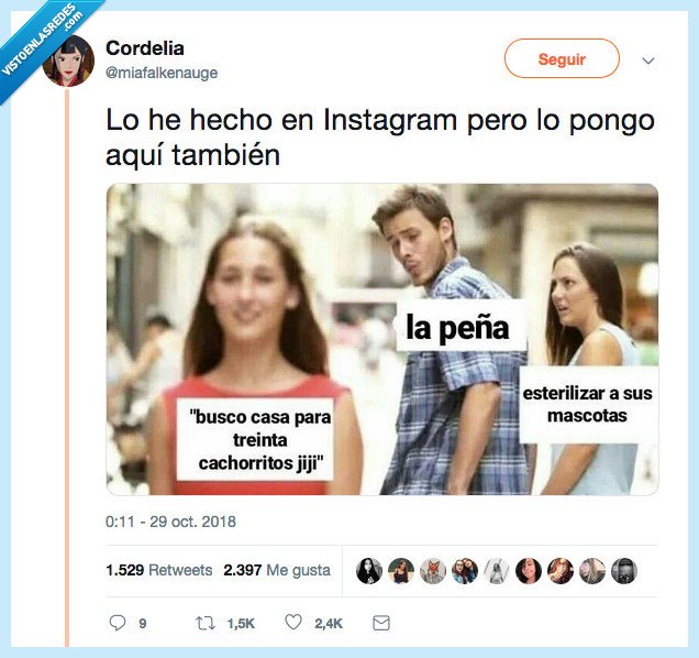 importante,instagram,cachorritos,esterilizar