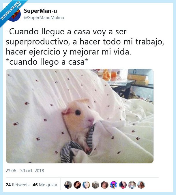 casa,productividad,ejercicio,trabajo