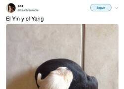 Enlace a La versión perruna mola más, por @Esunbreakable