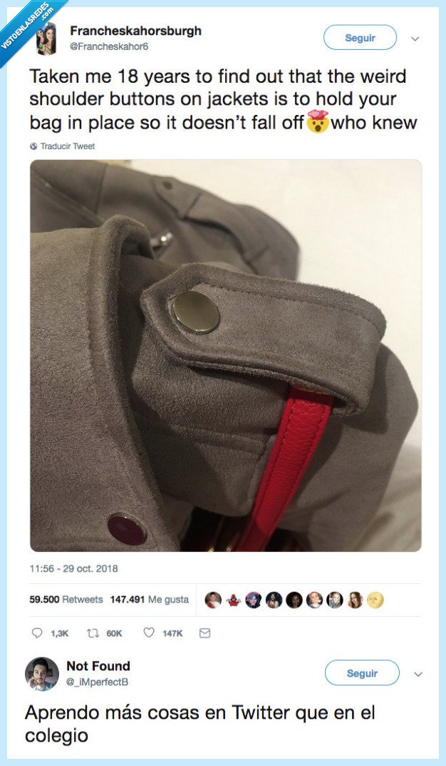 bolso,abrigo,fuente,sabiduría