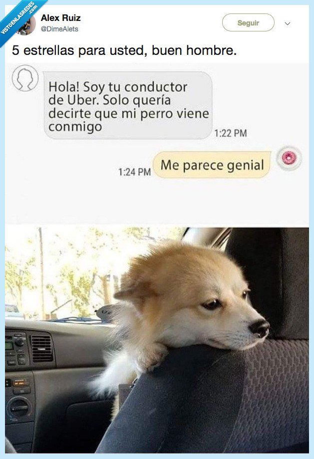 perro,taxi,uber